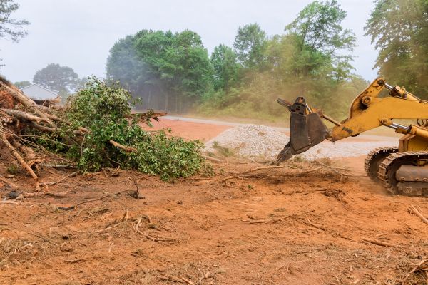 Cost of Forestry Mulching Service in Boise