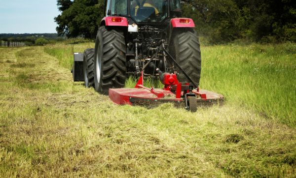 Brush Clearing Service in Boise