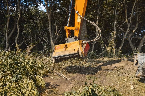 Brush Removal Service in Boise