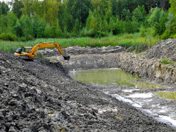 Cost of Lake Lot Clearing in Boise