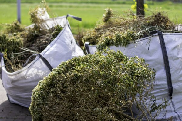 Cost of Bushes Clearing in Boise
