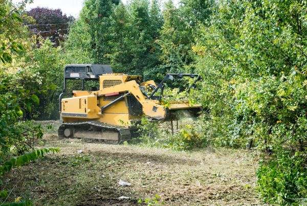 Cost of Pathway Clearing in Boise