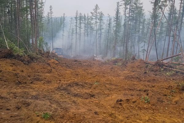 Cost of Hill Clearing in Boise