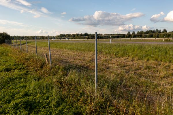 Cost of Property Line Clearing in Boise