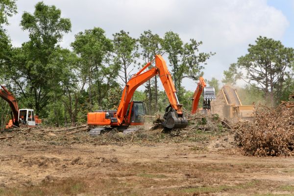 Cost of Commercial Lot Clearing in Boise