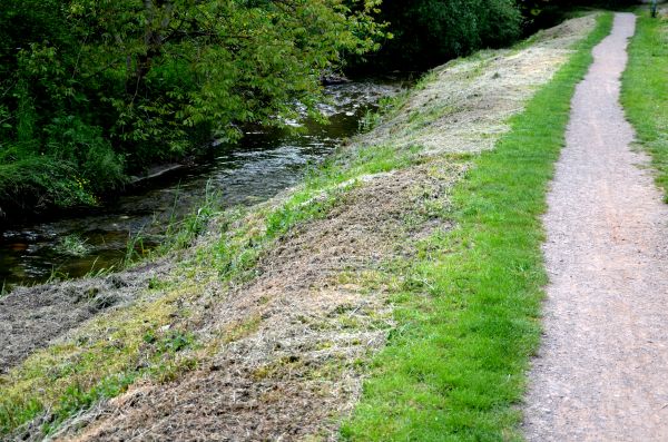 Cost of Trail Cutting in Boise